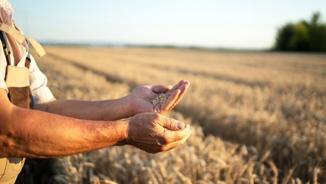 Analiza tržišta poljoprivrednih proizvoda na Produktnoj berzi