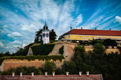 Exit Festival: Ekonomski Uticaj i Turistički Magnet Srbije