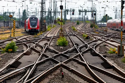 Otvaranje zajedničkog centra kinesko-evropske brze železnice u Inđiji