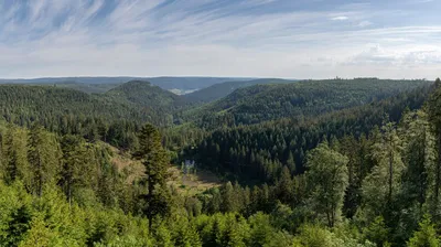 Prirodni resursi Rusije: Najveće bogatstvo na svetu