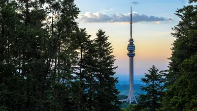 Rekordna godina za srpski turizam: Preko 2 miliona stranih gostiju