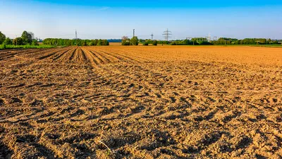 Unapređenje poljoprivrede: Nova era kreditiranja za srpske farmere